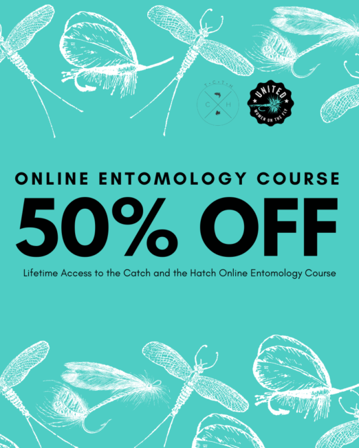 The Catch and the Hatch Online Entomology Course