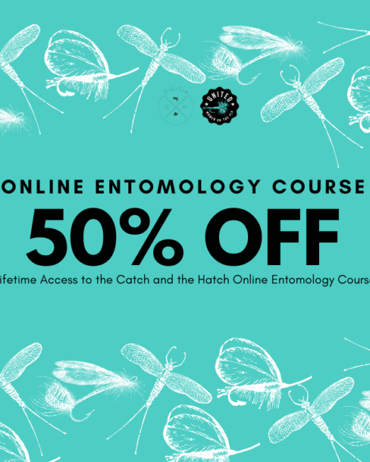 UWOTF Online Entomology Course