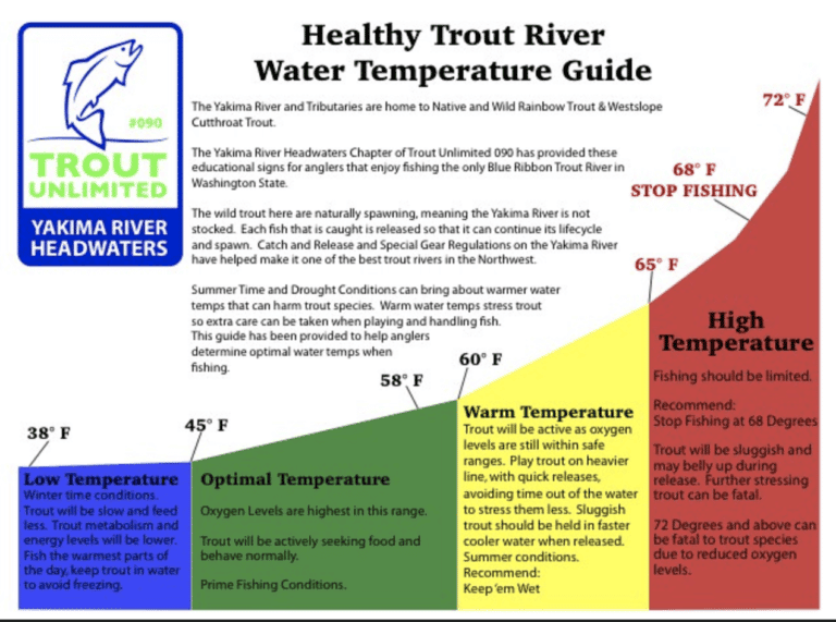 Optimal Trout Water Temps United Women on the Fly