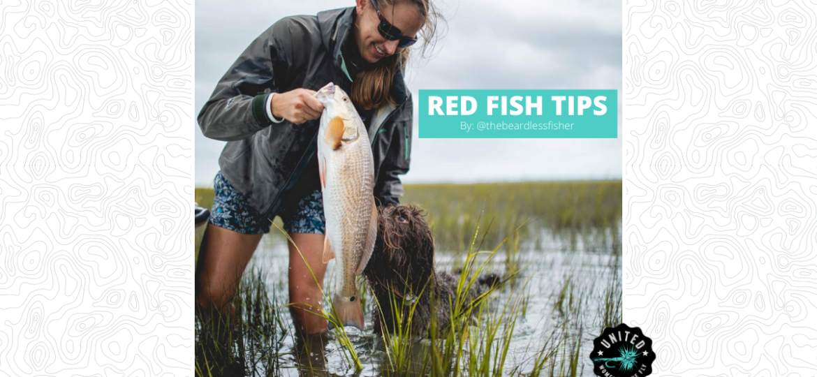 Red Fish Tips - Featured Image 1200 x 628 (1)