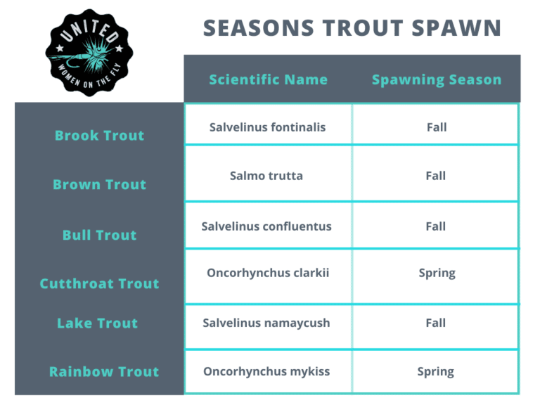 Trout Spawning Seasons