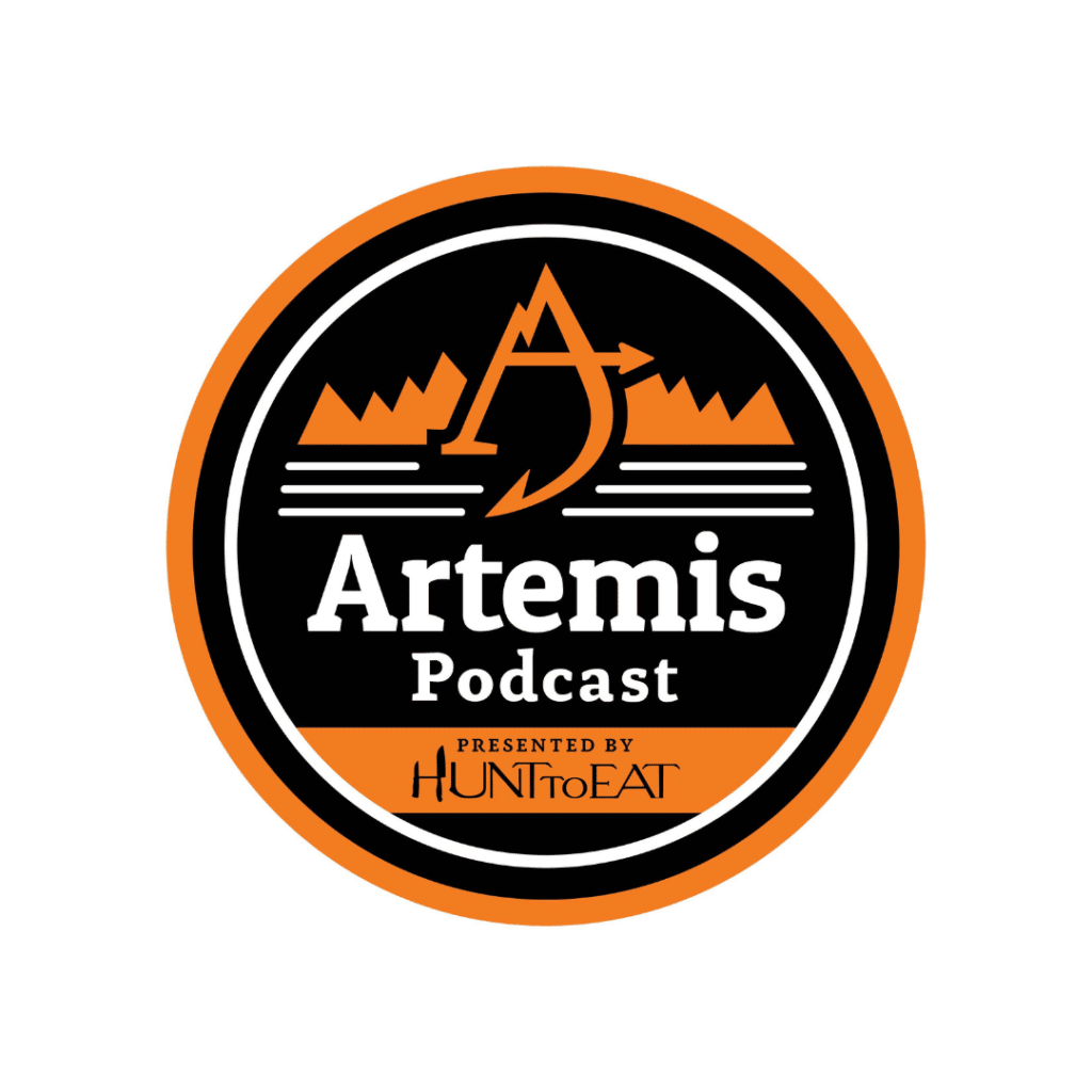 Artemis Podcast