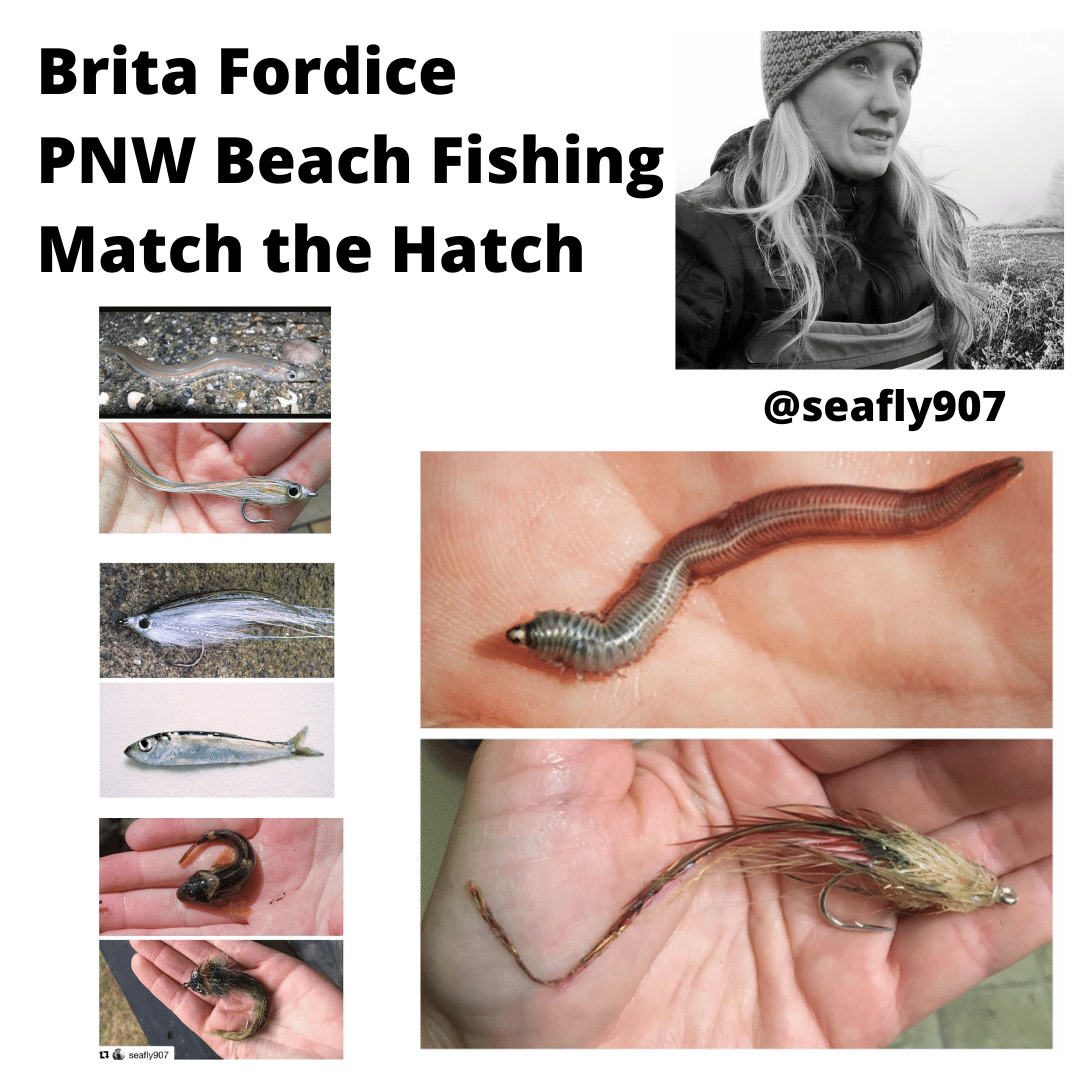 PNW Beach Fishing - Match the Hatch - United Women on the Fly