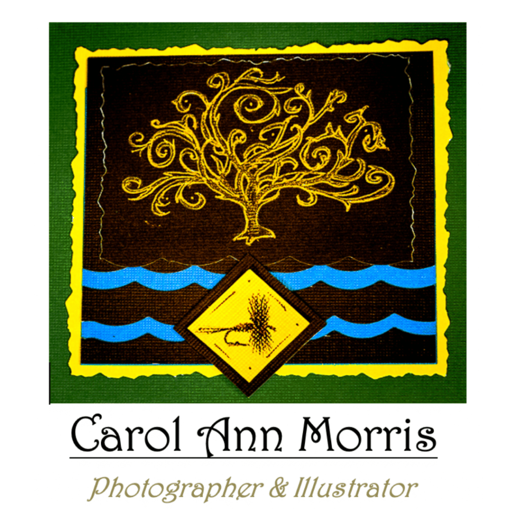 Carol Ann Morris 1080