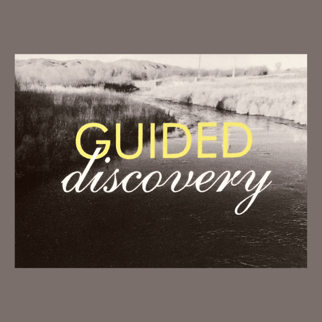 Guided Discovery Logo 1080
