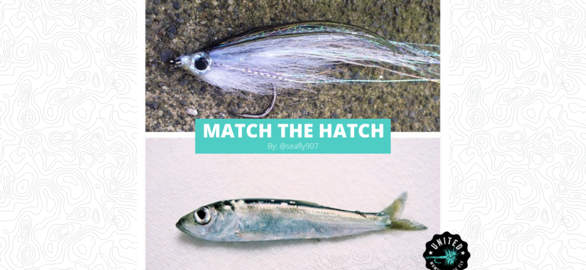 Match the Hatch - Featured Image 1200 x 628