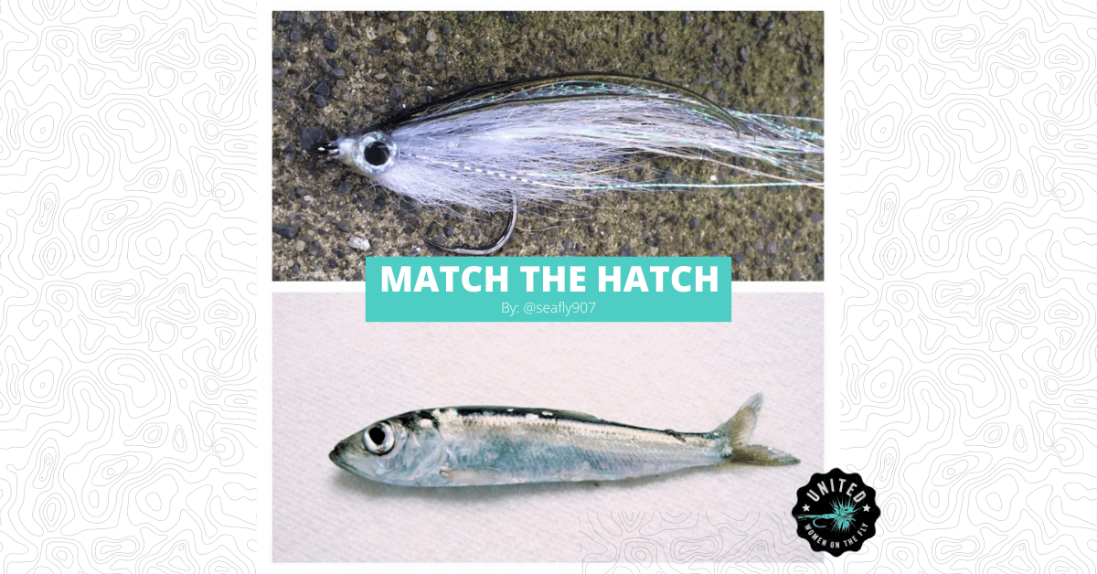 PNW Beach Fishing - Match the Hatch - United Women on the Fly