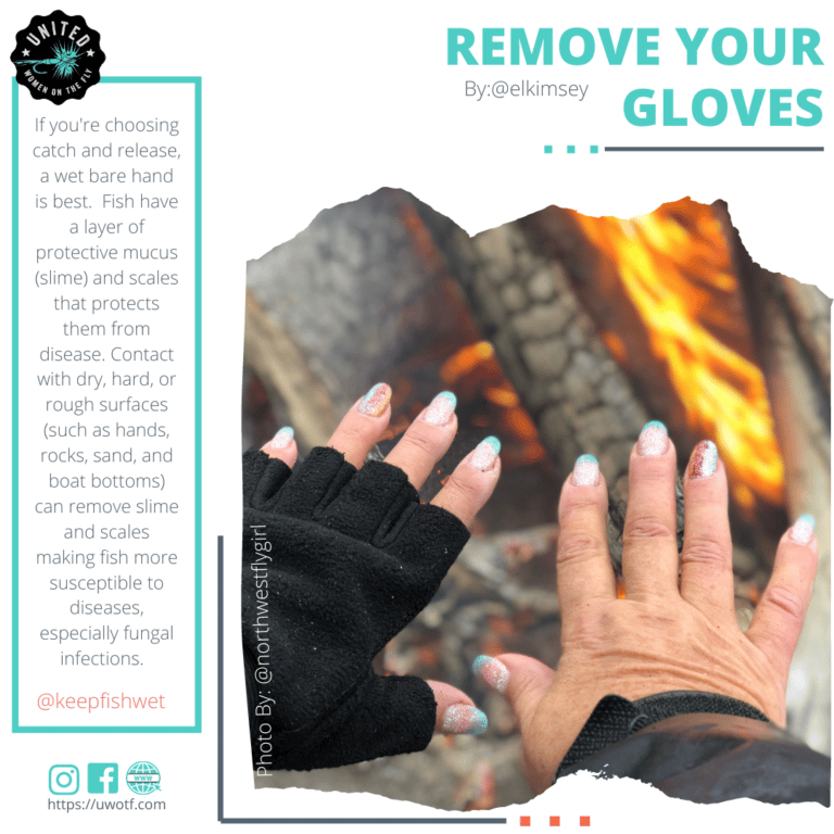 Fish Handling Friday - Remove Your Gloves