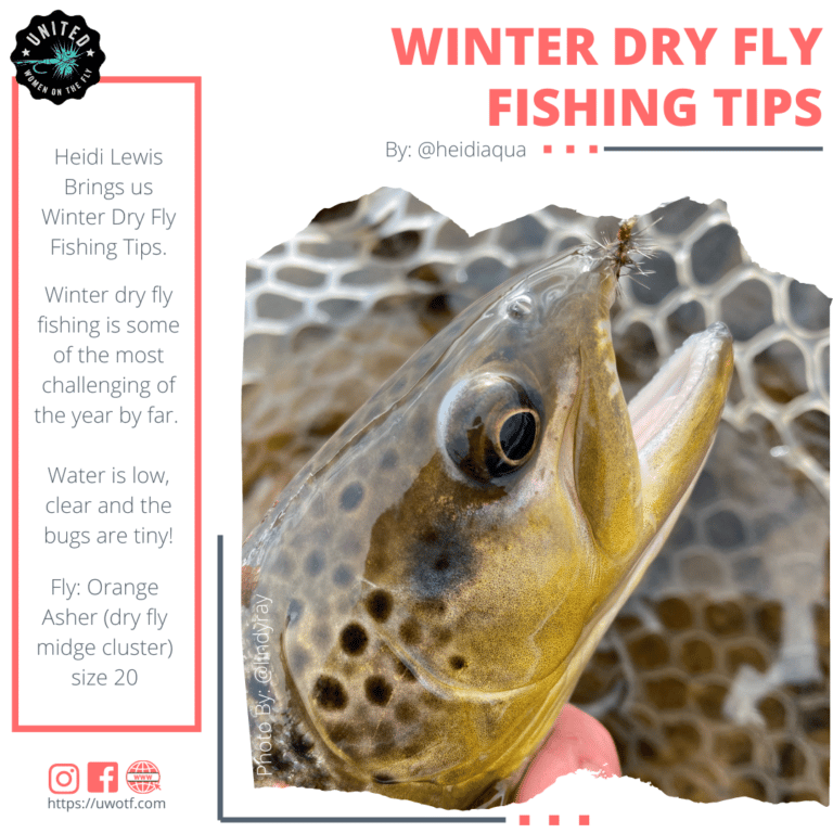 Winter Dry Fly Fishing Tips