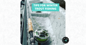 Tips for Winter Trout Fishing - Featured Image 1200 x 628