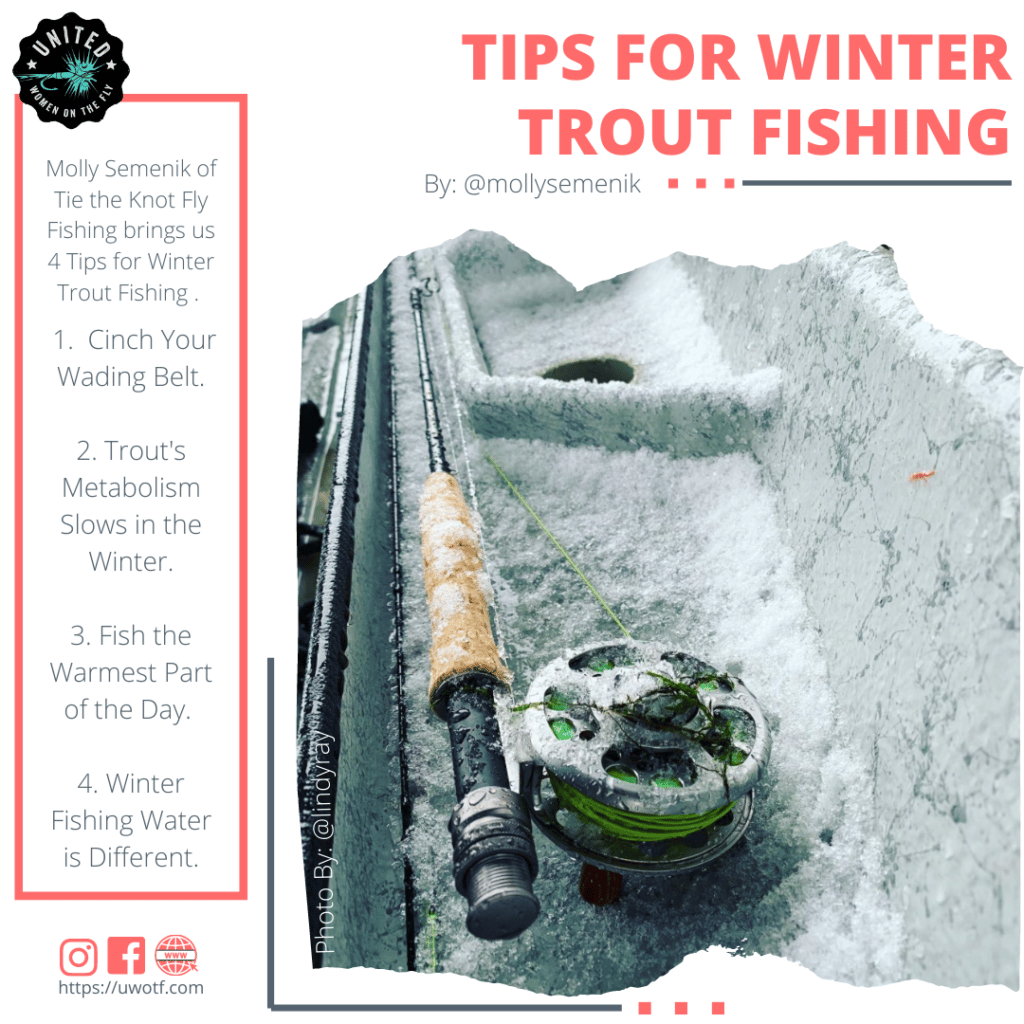 Tips for Winter Trout Fishing United Women on the Fly