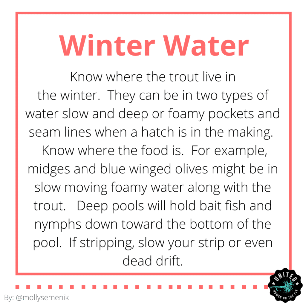 Tips for Winter Trout Fishing by Molly Semenik