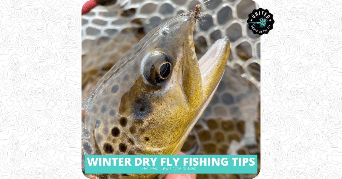 Winter Dry Fly Fishing Tips - United Women on the Fly