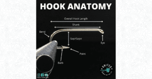 Hook Anatomy - Featured Image 1200 x 628