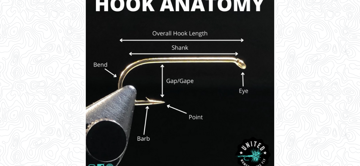 Hook Anatomy - Featured Image 1200 x 628