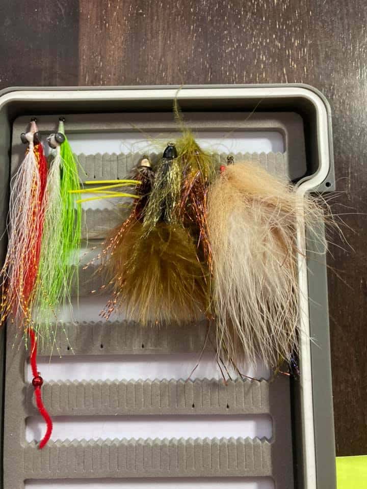 Tips to Organize Your Fly Box - United Women on the Fly