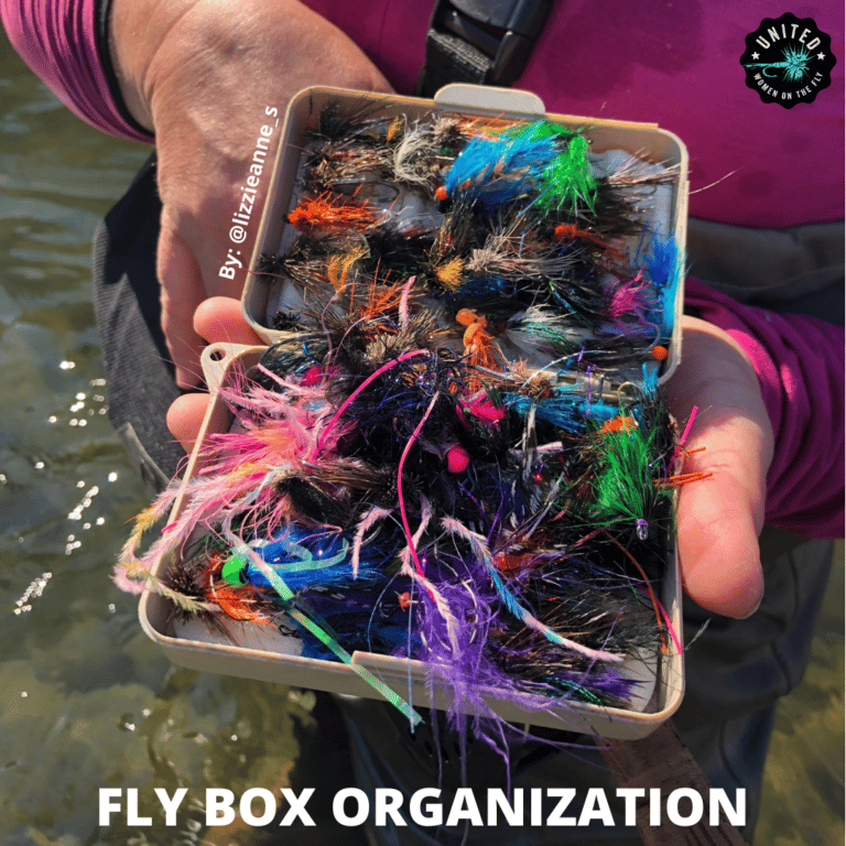 How to Organize Your Fly Box