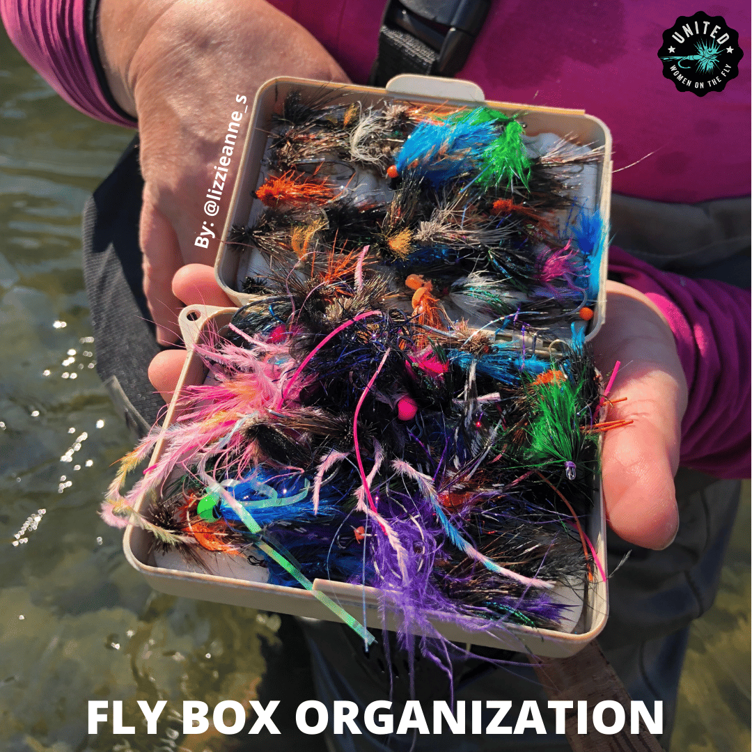 How to Organize Your Fly Box United Women on the Fly