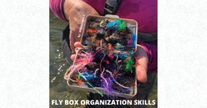 Fly Box Organization - Featured Image 1200 x 628