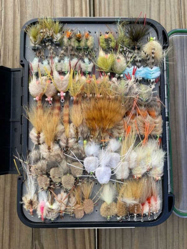 Salt Water Fly Box Organization United Women on the Fly