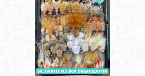 Saltwater Fly Box Organization - Featured Image 1200 x 628