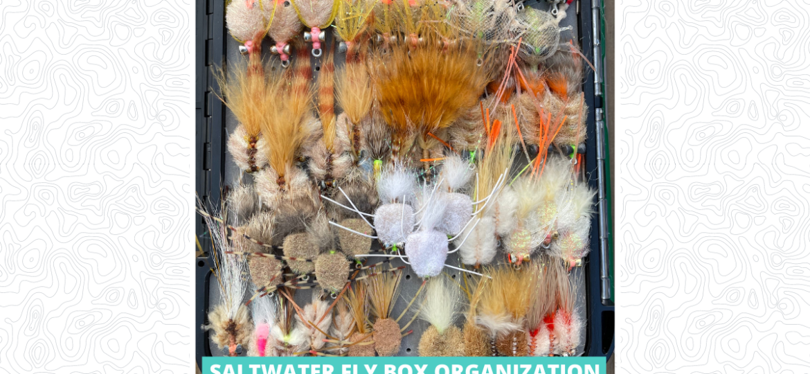 Saltwater Fly Box Organization - Featured Image 1200 x 628