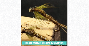 Blue Wing Olive Nymph Featured Image 1200 x 628
