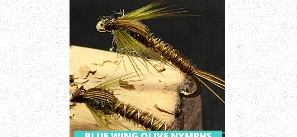 Blue Wing Olive Nymph Featured Image 1200 x 628