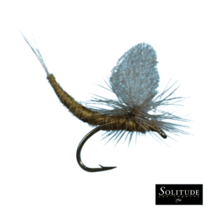 Blue Wing Olive Extended Body - BWO - Mayfly Life Cycle - Solitude Flies