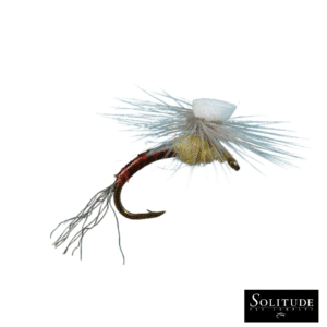 Brooks' Sprout PMD - Mayfly Life Cycle - Solitude Flies