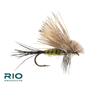 Hair Wing Green Drake - Mayfly Life Cycle - Rio Flies