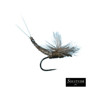 Parachute Extended Body BWO- Blue Wing Olive - Mayfly Life Cycle - Solitude Flies