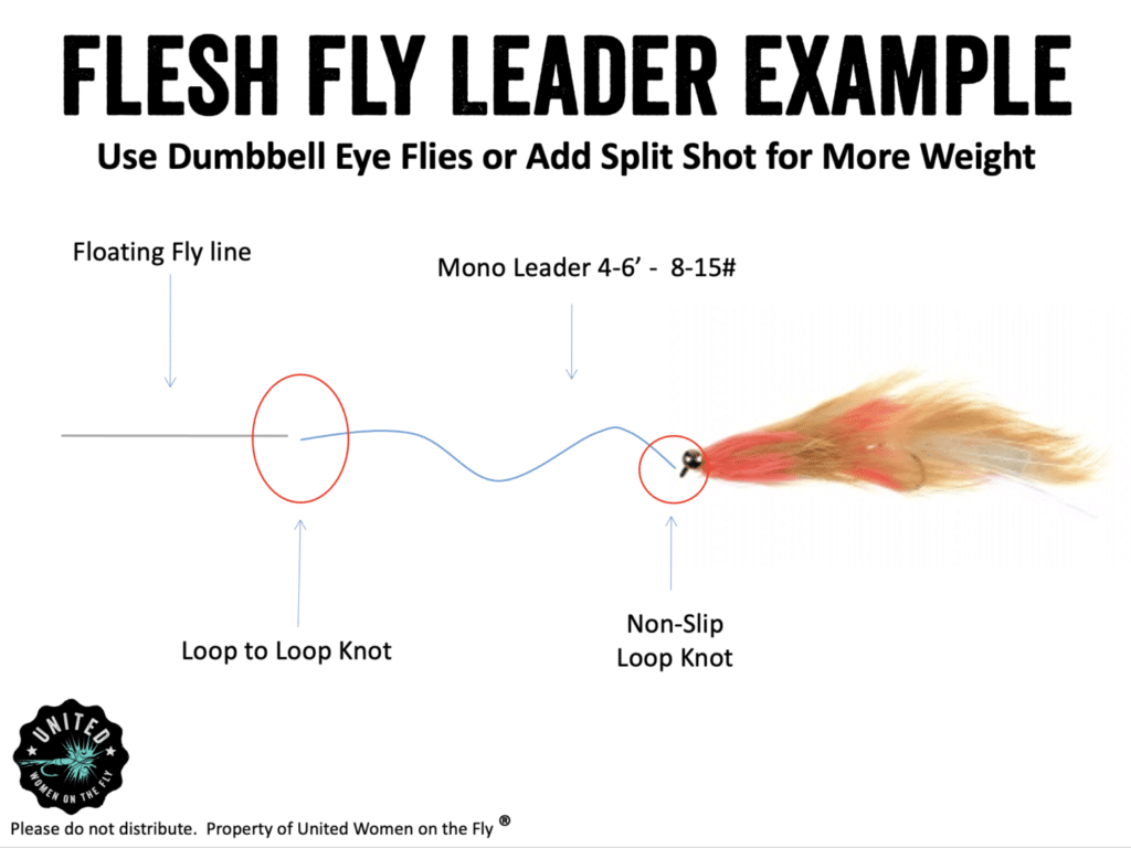 United Women on the Fly Flesh Fly Leader Example