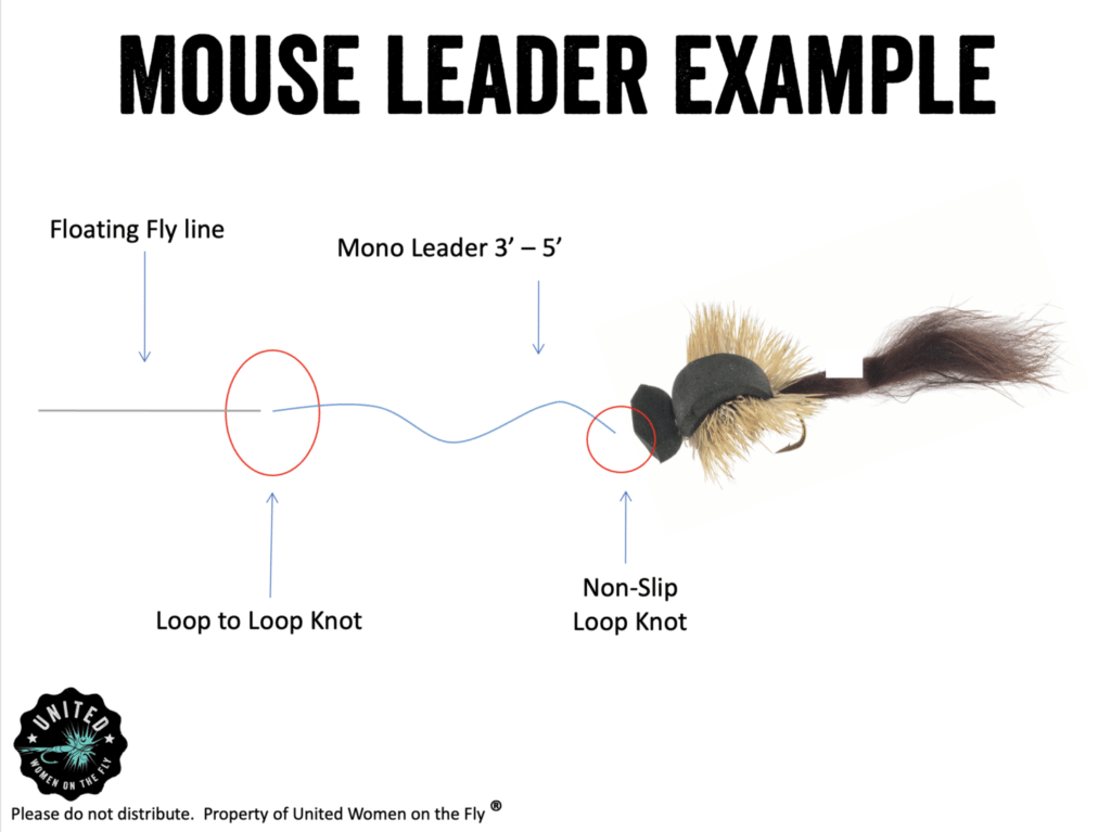 United Women on the Fly Mouse Leader Example