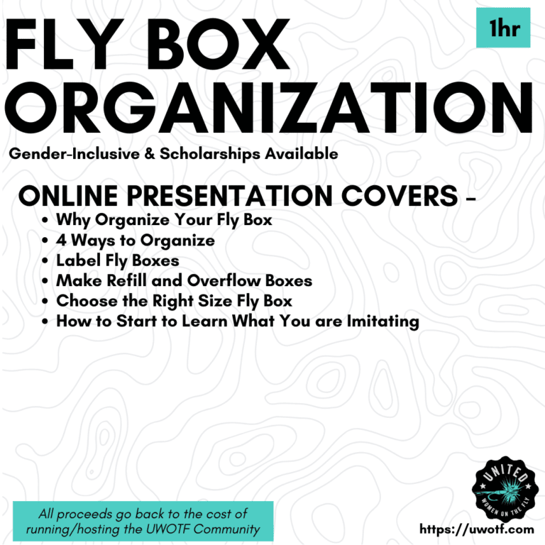 Fly Box Organization
