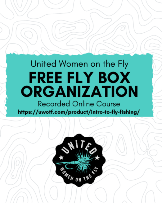 Free Fly Box Organization Online Recorded Course - Featured Product Image