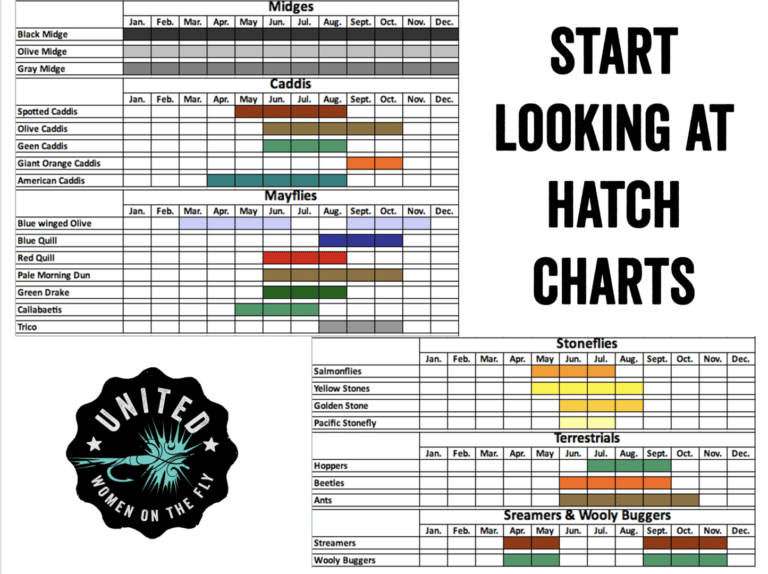Research Hatch Charts