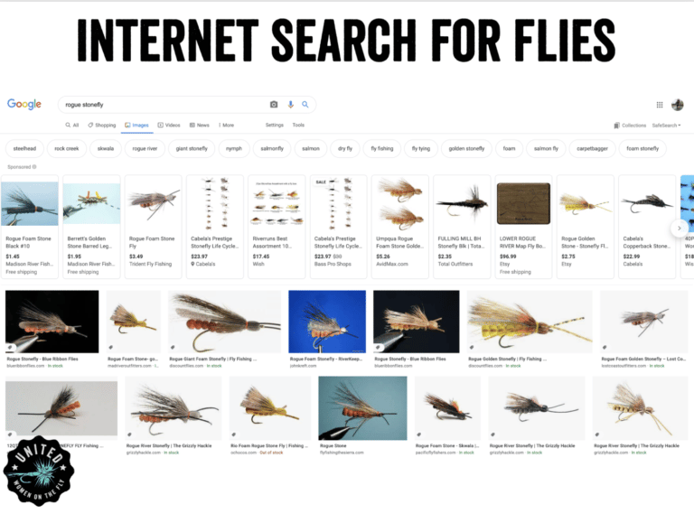 Rogue Stonefly Internet Search - Fly Fishing