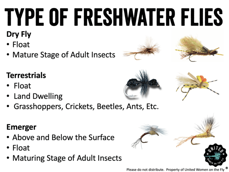 Types of Freshwater Flies - Dry, Terrestrials and Emergers1