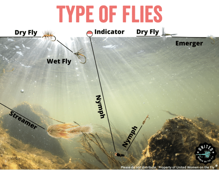 United Women on the Fly - Type of FLies
