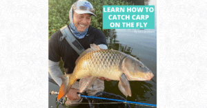 Carp on the Fly - Lino Jubilado - Featured Image 1200 x 628