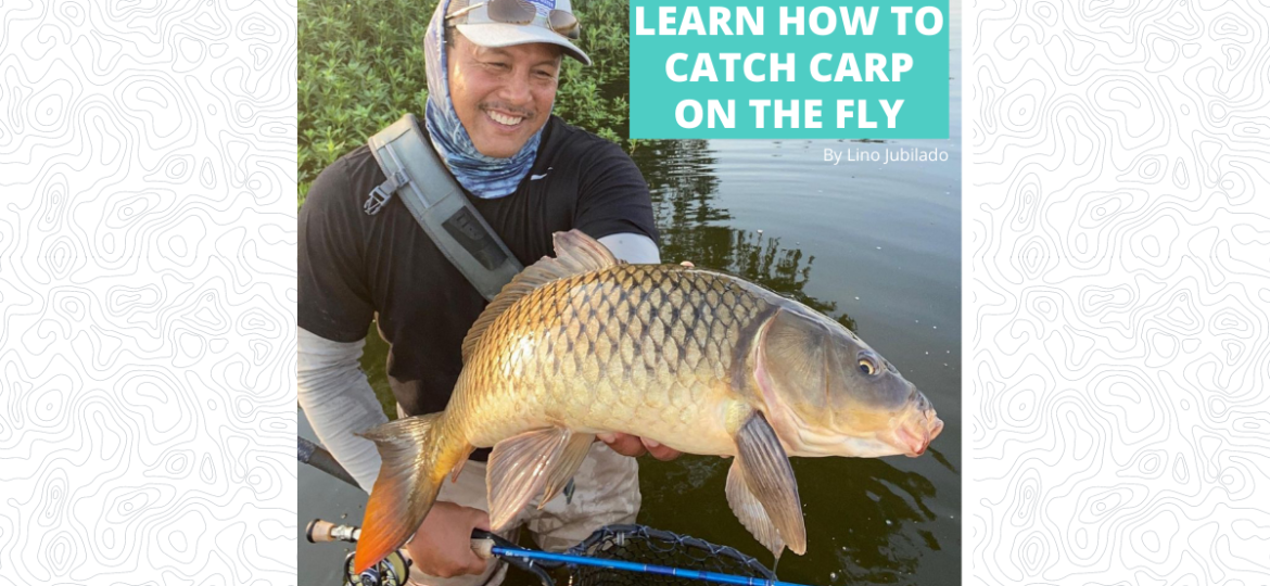 Carp on the Fly - Lino Jubilado - Featured Image 1200 x 628