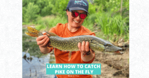Learn How to Catch Pike on the Fly - Featured Image 1200 x 628