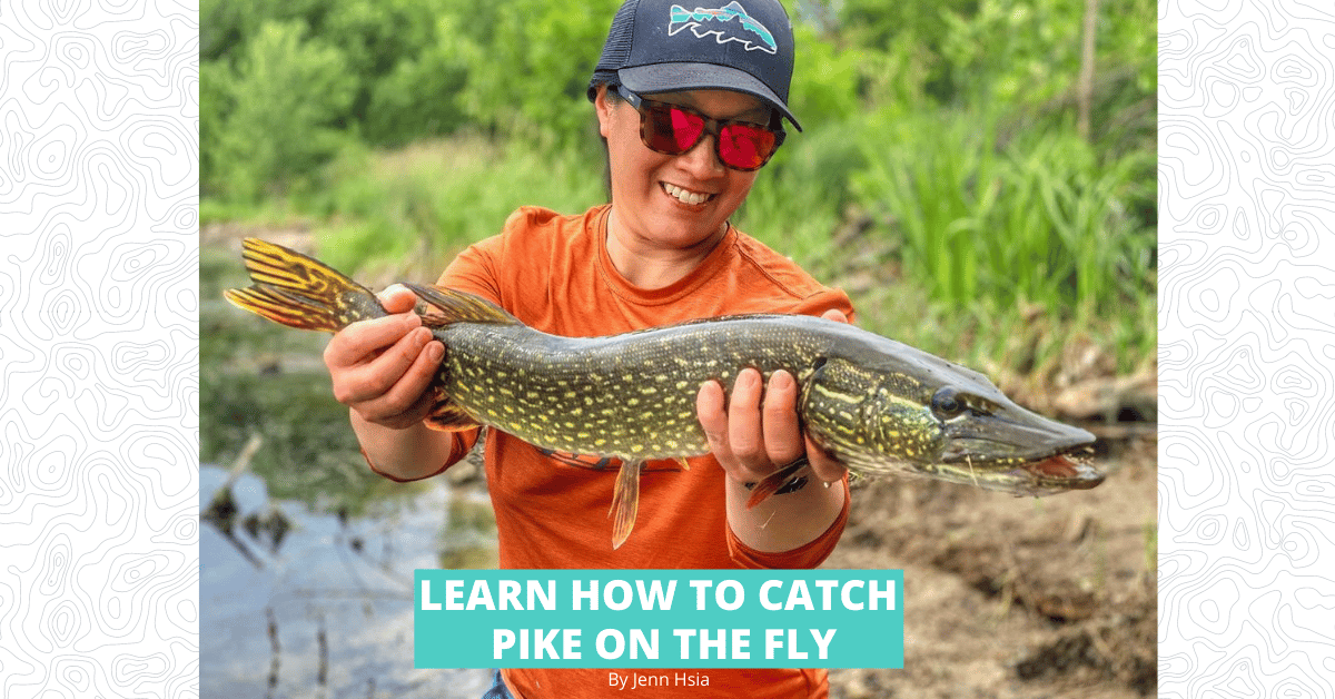 Learn How to Catch Pike on the Fly - United Women on the Fly