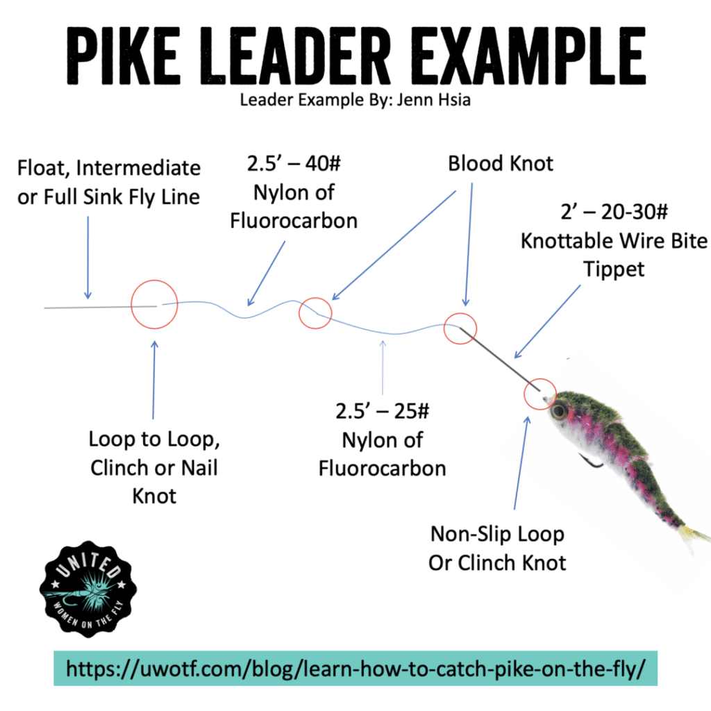 Pike Leader Example