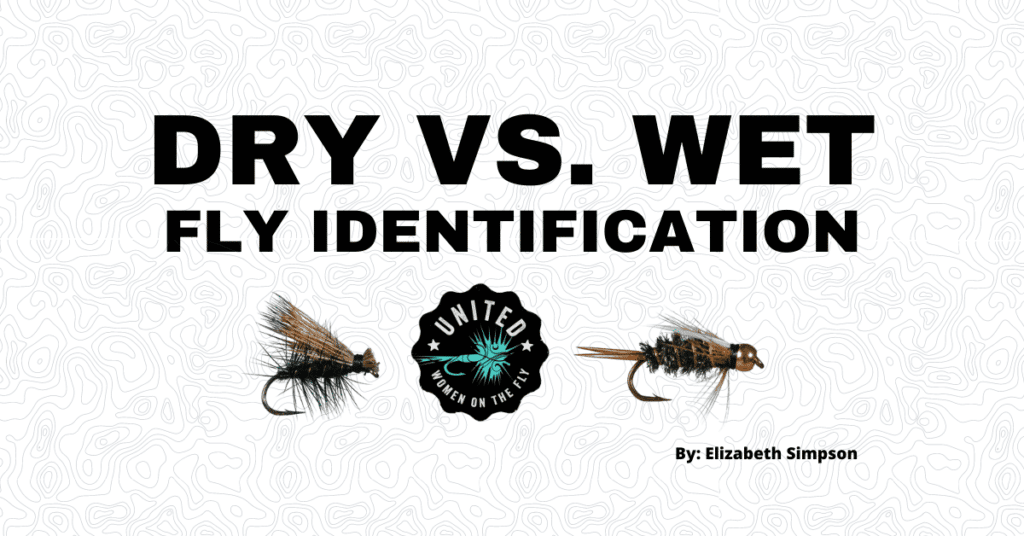 Dry versus Wet Fly Identification1