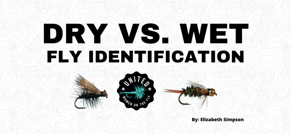 Dry versus Wet Fly Identification1