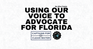 How We Can Use Our Voice to Help Florida1