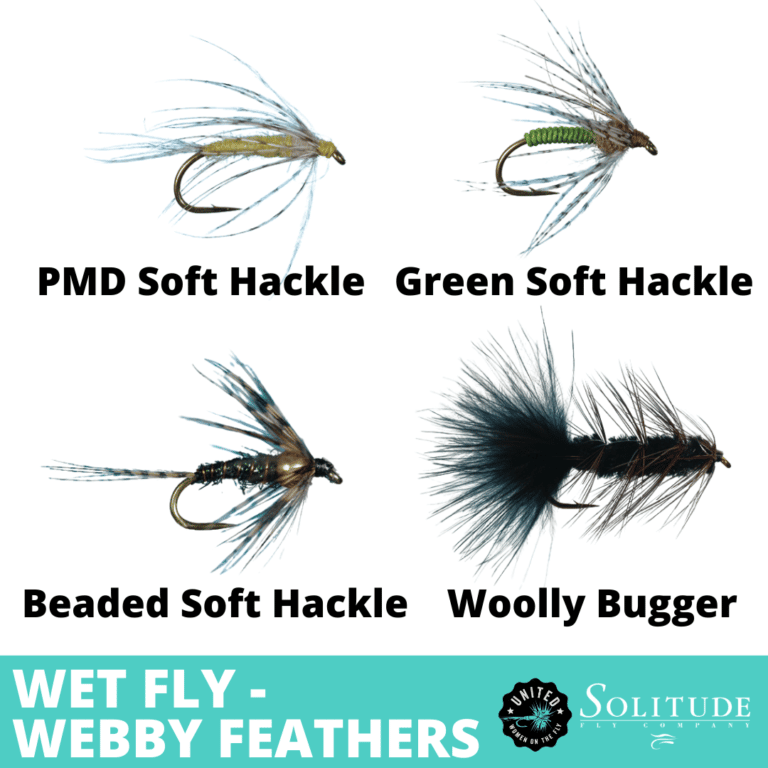 Wet Fly Identification Webby Feather - United Women on the Fly - Liz Simpson