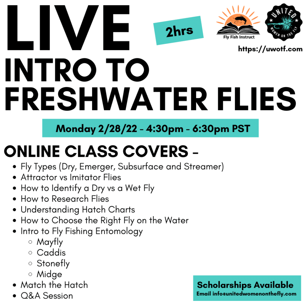 Intro to Freshwater Flies 2-28-22 Online Course